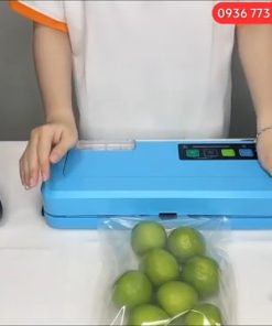 Máy hút chân không P290 - chi tiết máy 2