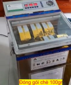 Máy hút chân không 2 BUỒNG DZC600