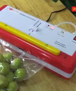 Máy hút chân không DZ300B