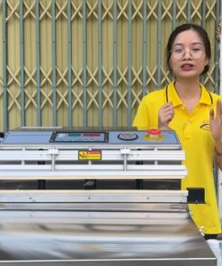 Máy hút chân không Yamafuji DZ 500W công nghiệp