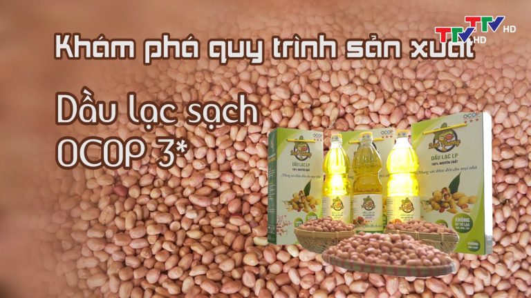 Dầu lạc OCOP 3 sao Thanh Hóa và xu hướng sử dụng dầu ăn tự nhiên Khám phá quy trình sản xuất dầu lạc ocop 3 sao Thanh Hoá PTTH Thanh Hóa 4