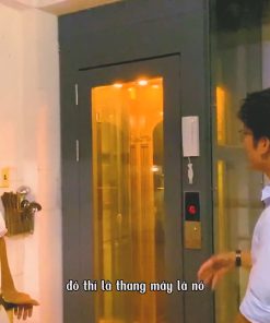Kích Thước Thang Máy Gia Đình Loại Nhỏ Nhất – Thang Máy Lồng Kính Chỉ 1 Mét Vuông