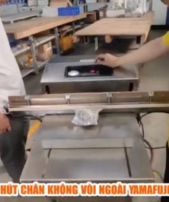 Máy hút chân không vòi ngoài HGDZ800W