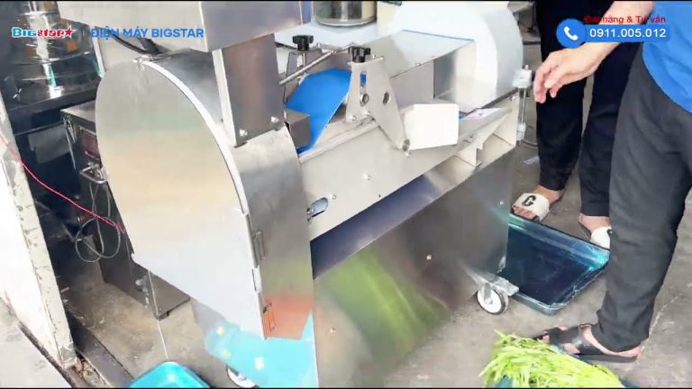 Máy cắt rau củ quả băng tải lớn EQUI XE 850 MÁY CẮT RAU CỦ QUẢ BĂNG TẢI YQC-850