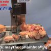 MÁY CƯA XƯƠNG BÒ, LỢN, TRÂU - CƯA THỊT ĐÔNG LẠNH