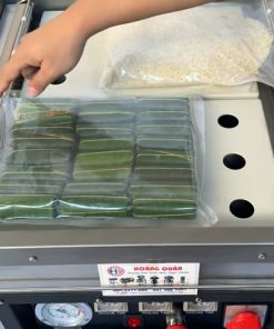 Máy hút chân không DZQ (400, 500, 600) - chi tiết máy 2