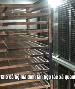 Máy sấy bơm nhiệt công nghệ hiện đại nâng tầm nông sản Việt