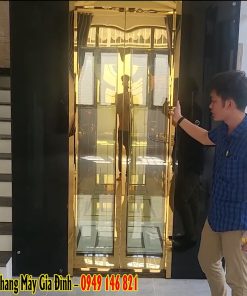 Mẫu Thang Máy Gia Đình Lồng Kính Đen