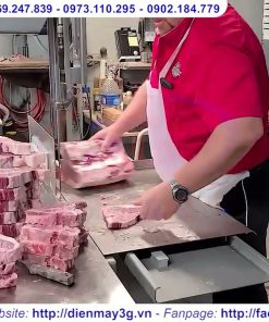 Máy Cưa Xương Heo, Xẻ Cá Đông Lạnh Giá Gia Đình