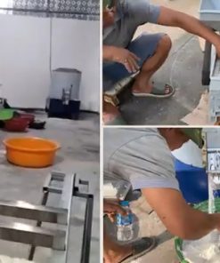 Máy Đùn Cá Công Nghiệp 7,5K Xay Nhuyễn Hàng Tấn Xương Gà, Cá, Cua, Ốc