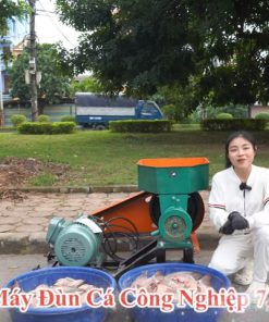 Máy Đùn Cá Công Nghiệp 7,5k Có Thể Làm Được Những Gì
