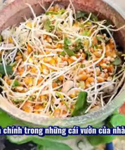 Máy ép cám viên tiết kiệm chi phí và nâng cao hiệu quả - chi tiết máy 2