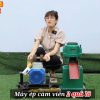 Máy Ép Cám Viên Gia Đình S180 4 Quả Lô