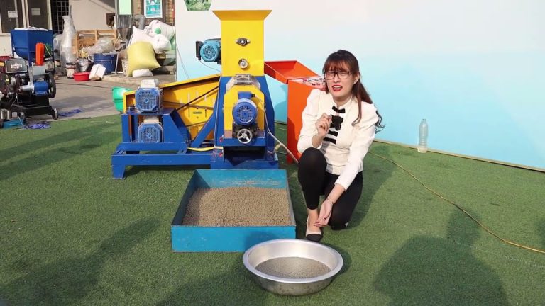 Máy ép cám nổi 1 pha – giải pháp tối ưu cho hộ chăn nuôi hiện đại Máy Ép Cám Viên Nổi 40k Dùng Động Cơ Điện 1 Pha 2