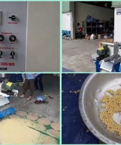 Máy Ép Cám Viên Nổi Tròn Cho Năng Suất 200 Kg/h