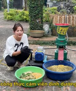 Máy Ép Cám Viên Quốc Dân Của Mọi Hộ Chăn Nuôi