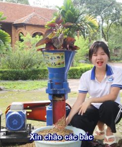 Máy Ép Cám Viên S180 Bình Quân - 4 Quả Lô Giúp Bà Con Tạo Ra Nguồn Cám Viên Dinh Dưỡng - Giá Rẻ