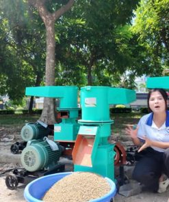 Máy Ép Cám Viên S250 - chi tiết máy 3
