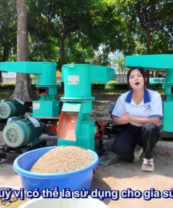 Máy Ép Cám Viên S250 - chi tiết máy 4