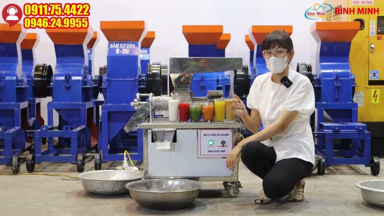 Máy ép nước cốt gia đình có ép được 6 loại rau củ quả không? Máy Ép Nước Cốt Gia Đình Có Thể Ép Được Bao Nhiêu Loại Rau Củ Quả 3