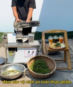 Máy Ép Nước Cốt Inox - Ép Rau Củ Quả Năng Suất 60-90 Kg/Giờ