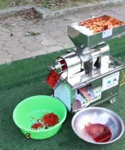 Ép Nước Cốt RAU + CỦ + QUẢ Với Máy Ép Nước Cốt Inox Gia Đình