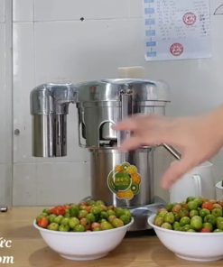 Máy Ép Trái Cây Công Nghiệp - chi tiết máy 2
