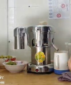 Máy Ép Trái Cây Công Nghiệp - chi tiết máy 3