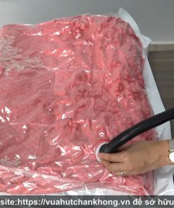 Máy Hút Chân Không Chăn Gối DZ800-2S