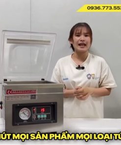 Máy hút chân không dz 260 - chi tiết máy 12