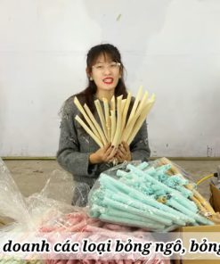 Máy Nổ Bỏng Dùng Điện Dân Dụng 220V Giá Chưa Tới 6 Triệu - chi tiết máy 3