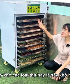 Máy Sấy Thực PhẩmDung Tích 260L