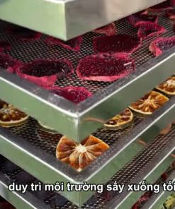 Máy Sấy Thực Phẩm Dung Tích 260L - chi tiết máy 2