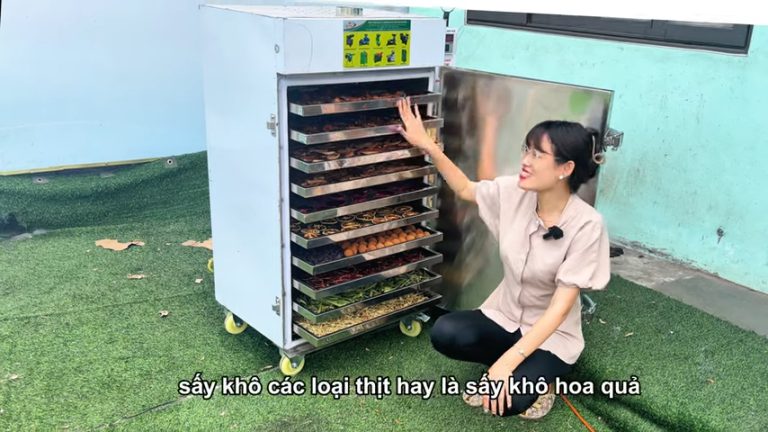 Máy Sấy Thực Phẩm Đa Năng Dung Tích 260L Phù Hợp Với Hộ Kinh Doanh Gia Đình