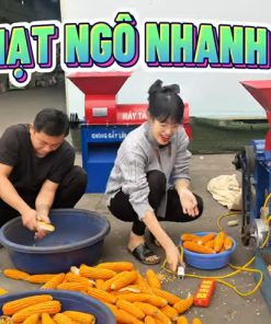 Máy tách hạt ngô không gãy lõi năng suất cao – tách ngô 7 tạ/giờ - chi tiết máy 2