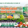 Máy Thái Rau Củ Quả Đa Năng GIÚP Bạn TIẾT Kiệm Thời Gian!