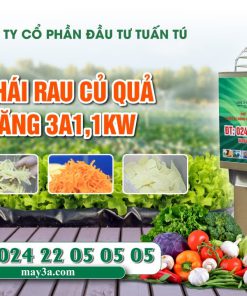 Máy Thái Rau Củ Quả Đa Năng GIÚP Bạn TIẾT Kiệm Thời Gian!
