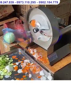 Máy Thái Rau Củ Tự Động Giá Từ 3tr Đồng