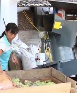Máy bóc vỏ hạt sen, máy lấy tâm sen