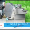 Máy cắt rau củ quả BT-19 - Trang bị băng tải - An toàn cho người sử dụng