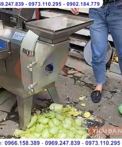 Máy thái hành, thái rau củ để bàn cho quán ăn nhỏ - chi tiết máy 3