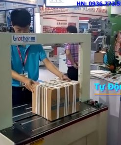 Máy đóng đai thùng tự động AP8060L