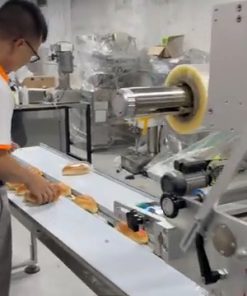 Máy đóng gói bánh mì tươi, sandwich - Thổi căng khí Nitơ & In date tự động hoàn toàn