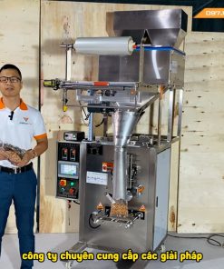 Máy đóng gói dạng hạt 2 đầu cân định lượng