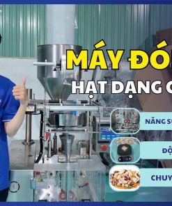 Máy đóng gói hạt hướng dương – ngũ cốc – hạt rời,... DẠNG CỐC ĐONG (Siêu Nhanh)