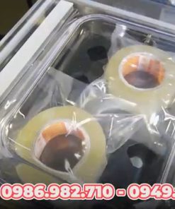 Máy hút chân không DZQ-400