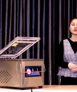 Máy hút chân không DZ260 chè, hạt macca, hạt điều, hoa quả sấy, thực phẩm, hải sản