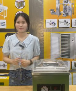 Máy hút chân không công nghiệp DZ260