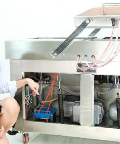 Máy hút chân không 2 buồng lõm 5cm DZQ500 - chi tiết máy 3