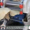 Máy mì tươi & hoành thánh DHH 200 C